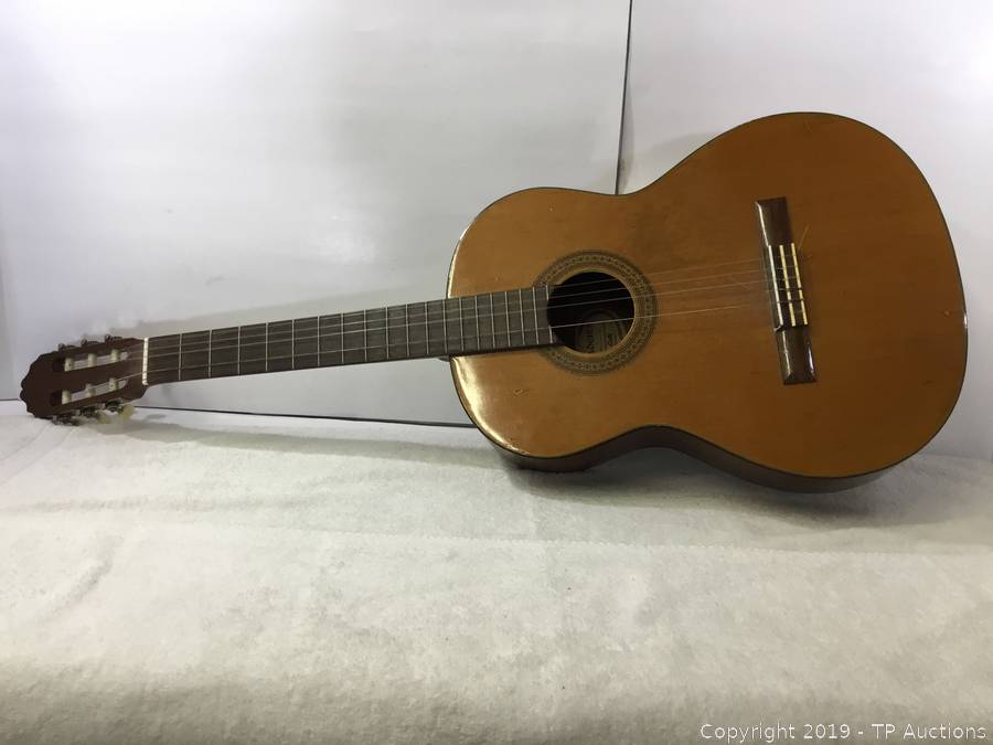 ovation cse24